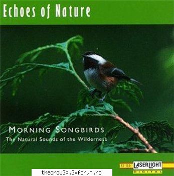 download echoes of nature - morning songbirds  :hi: 

 pacific surf & predawn
3. rain with pygmy